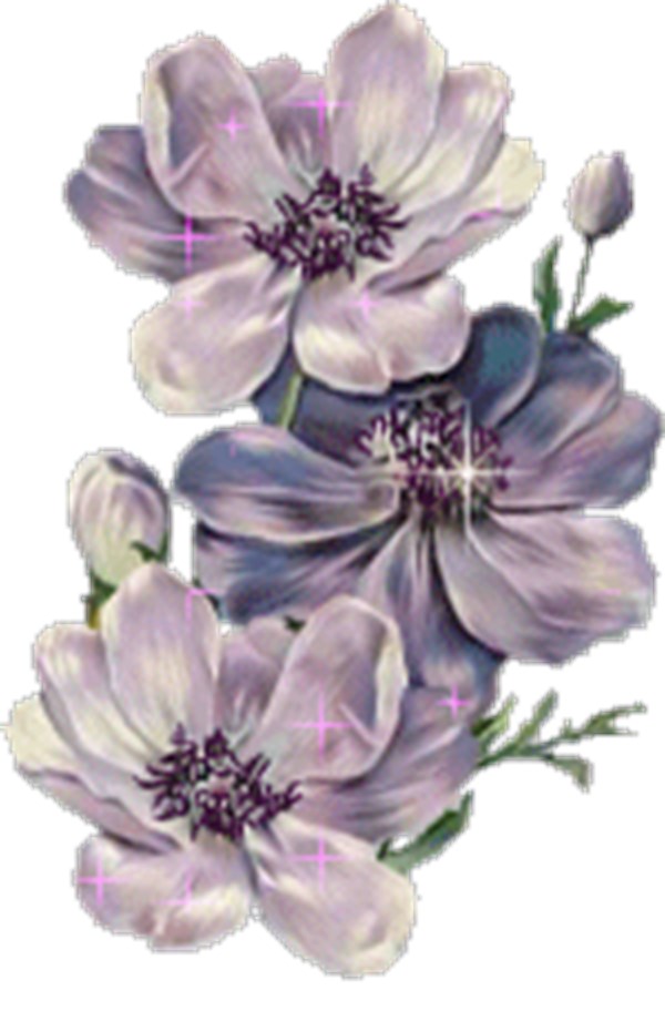 تسويق اي شىء .