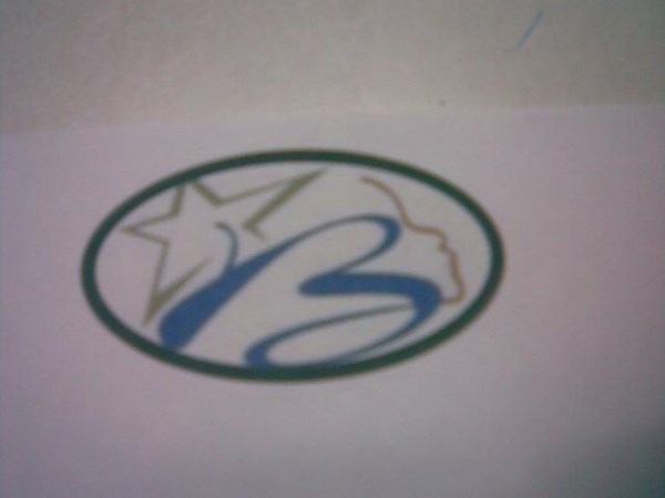 بودره تفتيح شعر BLOND STAR .