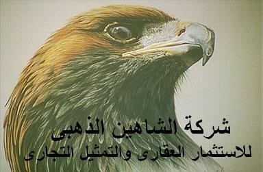 للآخوه المستثمرين فى جميع أنحاء العالم .