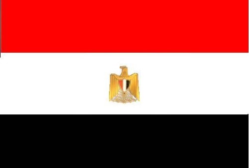 توفير العماله المصريه في جميع التخصصات .