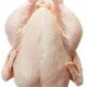 اقوي العروض لتوريد الدجاج البرازيلي المجمد للتجار والشركات