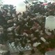 يوجد لدينا كتاكيت دجاج عربى فزانى