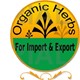 شركة اورجانيك هيربس لتصدير الاعشاب المجففه والليمون المجفف