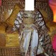 تكشيطة دهبية عالية الجودة