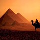 مطلوب شركات سياحية للتعاون في المجال السياحي في مصر