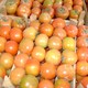 تصدير برتقال وخضروات وفاكهة
