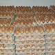 لبيع بيض المائده بالجمله و بارخص الاسعار