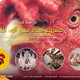 دراسة جدوى مشروع إنشاء مجزر آلى للدواجن