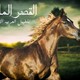 أقتني أجود الخيول العربية الاصيلة