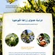 دراسة جدوى مشروع زراعة الجوجوبا بهدف إنتاج الزيوت والأعلاف