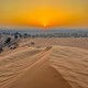 Desert Safaris Abu Dhabi Top rated best  .