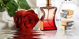 عطر ريفالا عطر سمارت 