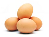 بيض طازج و مسحوق البيض الجاف و عسل طبيعي للبيع بجودة عالية