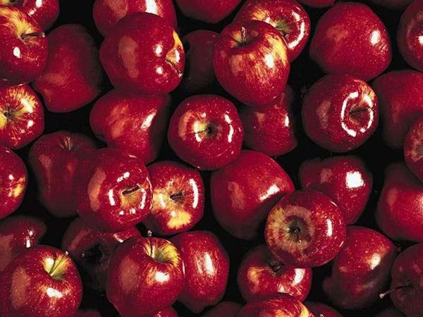 يوجد لدينا تفاح احمر تركيالروان فروت لاستيراد والتصدير