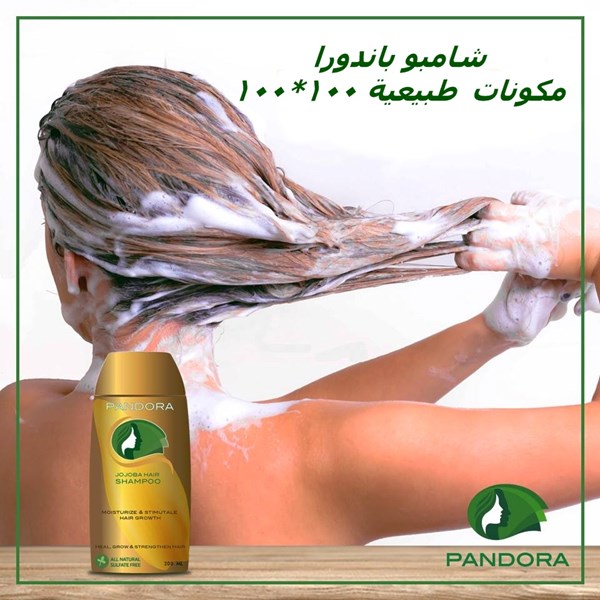 Pandora Shampoo شامبو باندورا