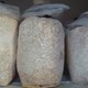 ابواغ فطر (تقاوي الفطر )