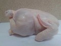 دجاج مجمد اوكراني المنشأ للبيع HALAL