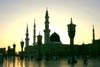 شركة مصطفى محمود للعطور والعنايه الطبيعيه