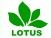 LOTUS GUANGZHOU INDUSTRIAL CO LTD