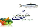 للاستيراد و التصدير COPACPLANT MAROC