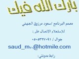 مصمم برامج بالأكسس