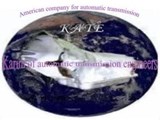 Karim of automatic transmission engineers KATE