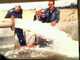 مضخات مياة النويشى طلمبات elneweshy water pumps