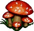 MASHROOM