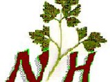مكتب نورهان لتصدير الأعشاب الطبية والبذور