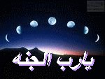 شركه الفارس للمقاولات