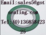 spiral wound gasket